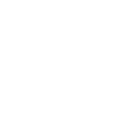 Праздничные
