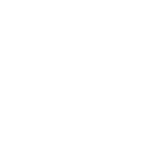 Для шоу